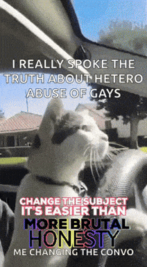 a cat is driving a car with a caption that says i really spoke the truth about hetero
