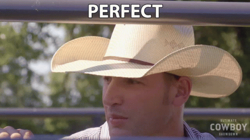 Perfect Cody Brewer GIF - Perfect Cody Brewer Ultimate Cowboy Showdown GIFs