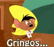 a cartoon mouse is wearing a sombrero and says gringos