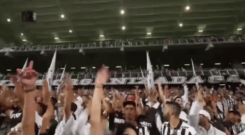 Torcida, Atlético Mineiro, Jogo De Futebol, Galo GIF - Braziliansoccerteam Footballfans GIFs