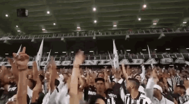 a crowd of people cheering in a stadium with a banner that says mira