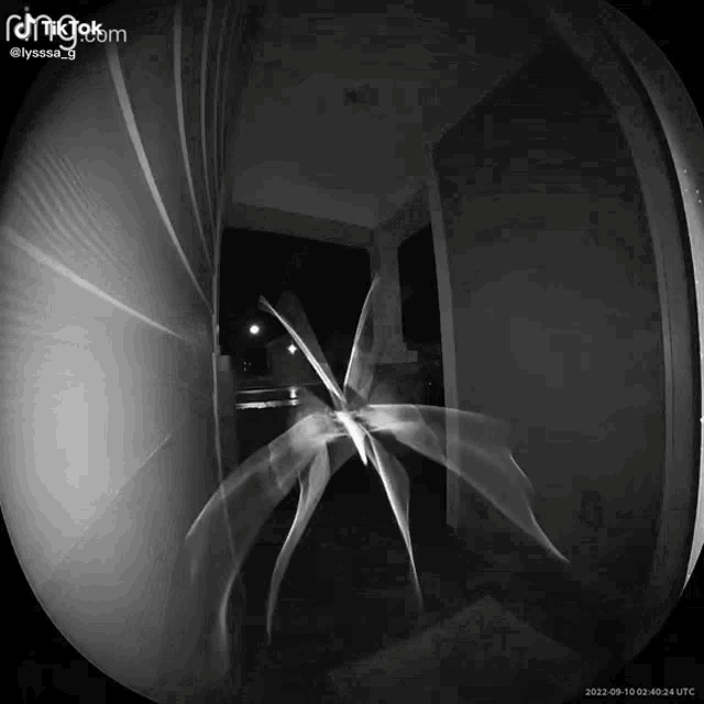 a black and white photo of a door that says ring alarm