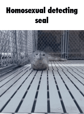 a seal laying on a wooden floor with the words homosexual detecting seal above it