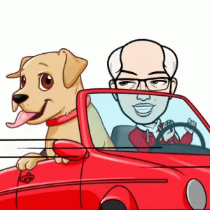 Convertible Dog GIF - Convertible Dog Ride GIFs
