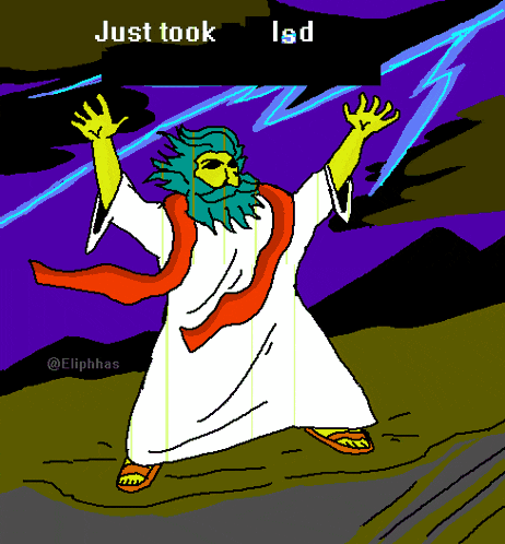 a cartoon of a man with a beard and the words just took lsd