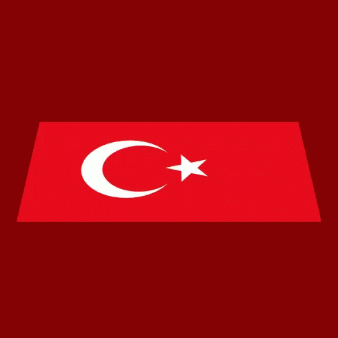 Bayrak Türk Bayrağı GIF - Bayrak Türk Bayrağı Turk Bayrak GIFs