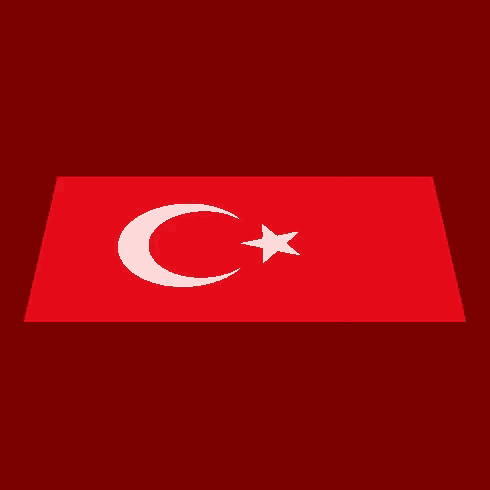 a red flag with a white star and crescent moon