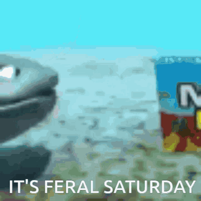 a box of nuggets sits on a table next to a turtle and the words it 's feral saturday