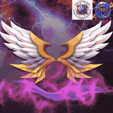 a picture of a pair of wings with the words voice of your soul visible
