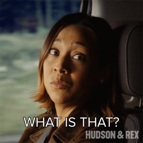 What Is That Sarah Truong GIF - What Is That Sarah Truong Hudson And Rex GIFs