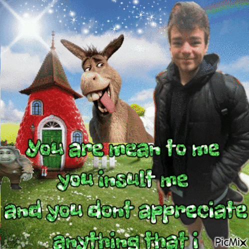 a picture of a donkey and a boy with a caption that says you are mean to me