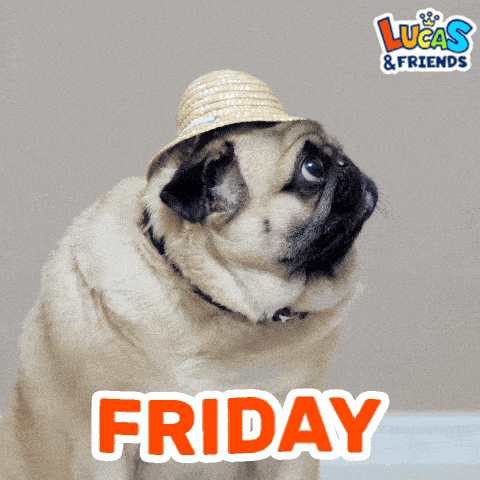 a pug wearing a straw hat with the word friday on it
