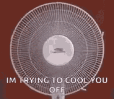 a close up of a fan with the words `` im trying to cool you off '' written on it .