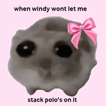 Hamster Meme Windy GIF
