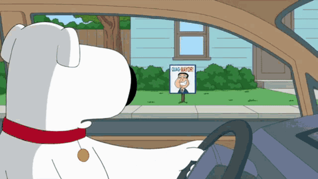 Family Guy Brian GIF - Family Guy Brian Brian Griffin GIFs