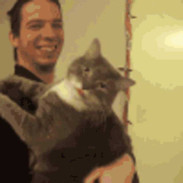 a man is holding a gray cat in his arms and smiling