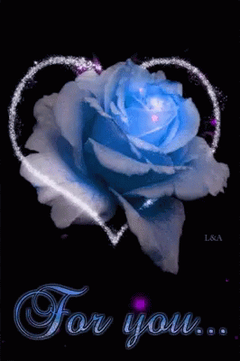Roses For You GIF - Roses For You Blossom GIFs