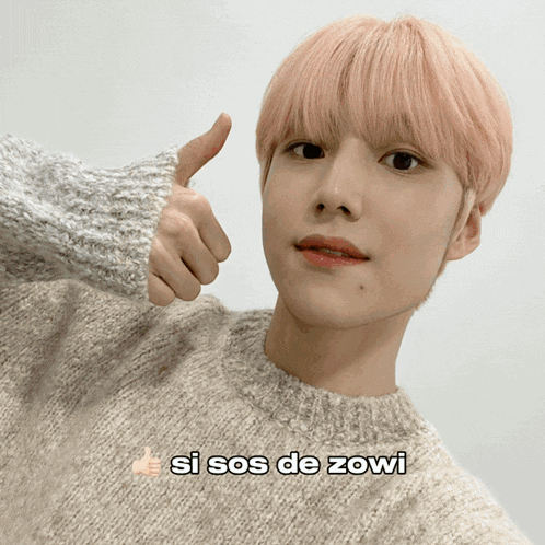a young man with pink hair gives a thumbs up with the words si sos de zowi below him