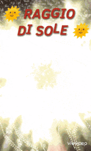 a picture of a woman with the words " raggio di sole " above her