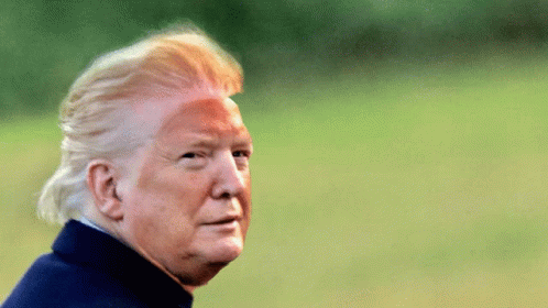 Hair Stonks GIF - Hair Stonks Trump Alien GIFs