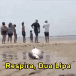 a group of people are standing on a beach watching a dead fish .