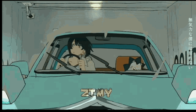 a cartoon drawing of a person driving a car with the word zimy on the side