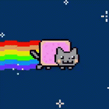 Cat Rainbow GIF - Cat Rainbow Happy GIFs