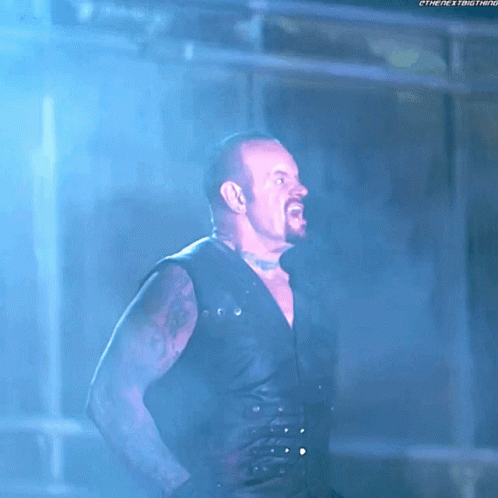 The Undertaker Aj Styles GIF - The Undertaker Aj Styles Wwe GIFs