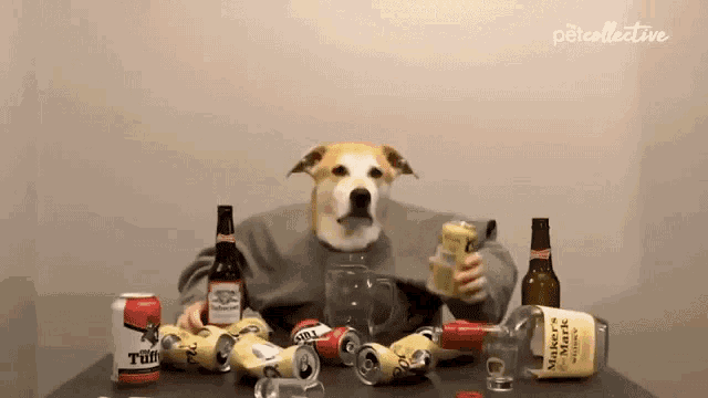 a dog is sitting at a table surrounded by beer cans and bottles of whiskey