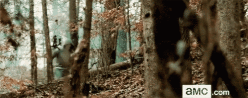 a person is walking through a forest with the website amsc.com visible in the background .