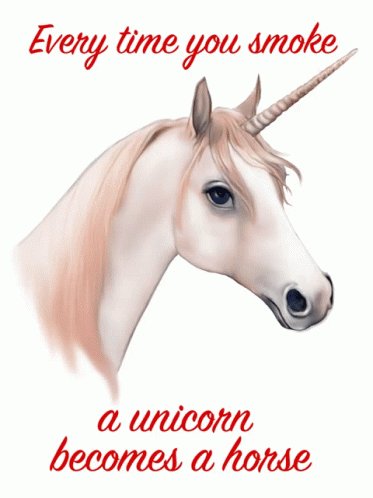 Unicorn Smoking GIF - Unicorn Smoking Horse GIFs
