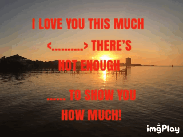 a sunset over a body of water with the words " i love you this much " in red