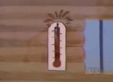 a cartoon of a thermometer hanging on a wooden wall with a ts logo in the corner