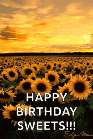 a field of sunflowers with the words `` happy birthday sweets ''