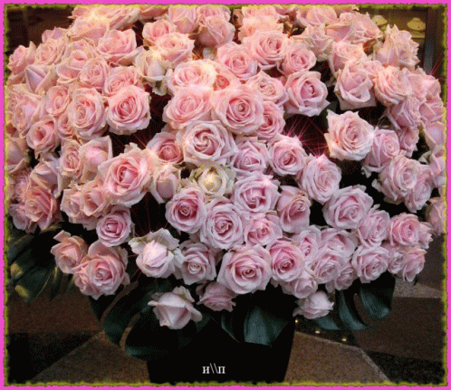 Pink Large Bunch Pink Roses Tons GIF - Pink Large Bunch Pink Roses Tons Glittering Pink Flower GIFs