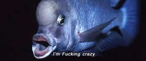 I Am Fucking Crazy But I Am Free GIF - I Am Fucking Crazy But I Am Free Fish GIFs