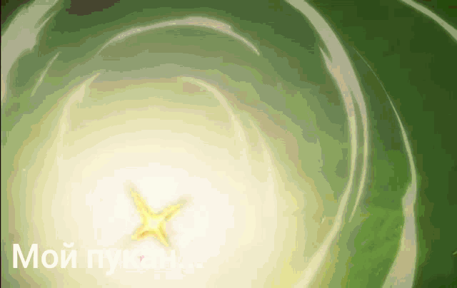 a green background with a yellow star in the center and the words мой пукан