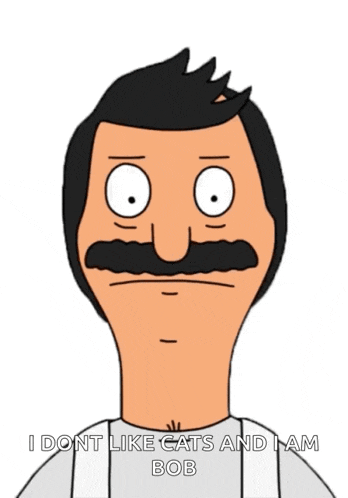 a cartoon character with a mustache says i don t like cats and i am bob