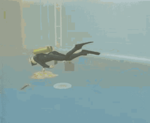 a man in a black wetsuit is swimming in the water