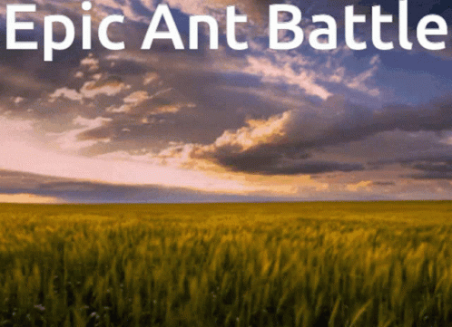 Epic Ant Battle GIF - Epic Ant Battle GIFs