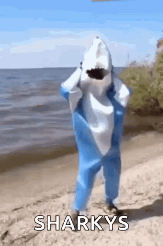Shark Dance GIF - Shark Dance Mascot GIFs