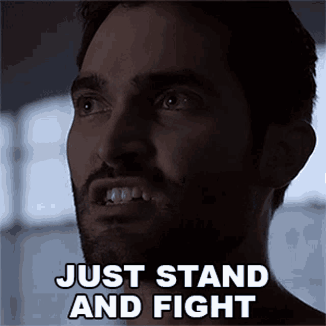 Just Stand And Fight Derek Hale GIF - Just Stand And Fight Derek Hale Tyler Hoechlin GIFs