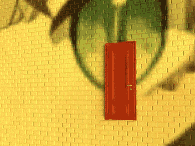 a red door on a yellow brick wall with a shadow of a palm tree