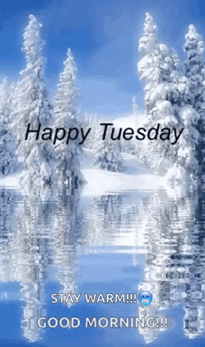 a picture of a snowy forest with the words happy tuesday stay warm and good morning