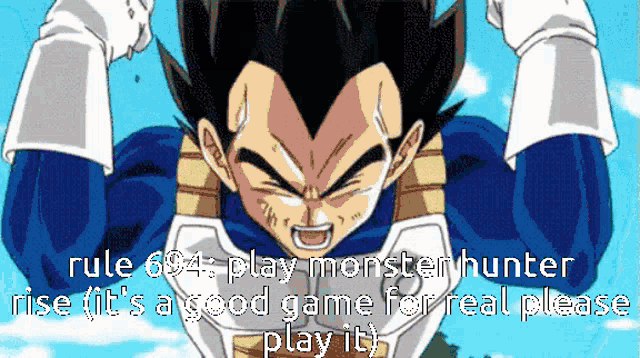 a picture of a dragon ball z character with the words rule 684 play monsterhunter rise fit 's a good game for real please play it