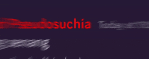 a message from ceo of pseudosuchia today at 11:00 pm where the hell is bujang senang