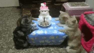 Cats Happy Birthday GIF - Cats Happy Birthday Sad Birthday GIFs