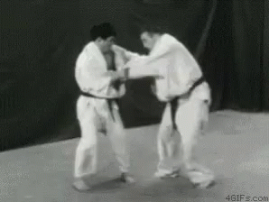 Judo Martial Art GIF