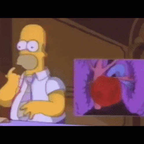 Simpsons The Simpsons GIF - Simpsons The Simpsons Homer Simpson GIFs