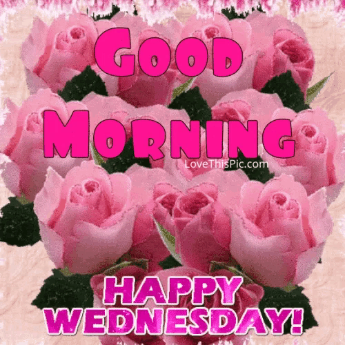 a good morning happy wednesday card with pink roses